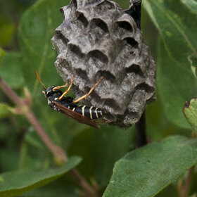 �������