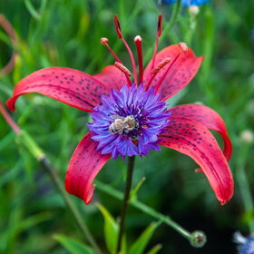 �������