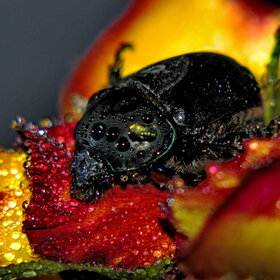 �������