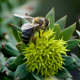 �������