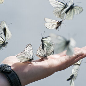 �������