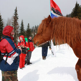 �������� ��������