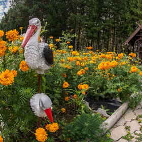 �������