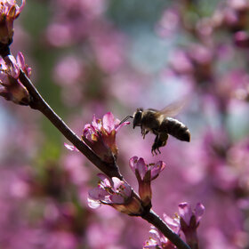 �������