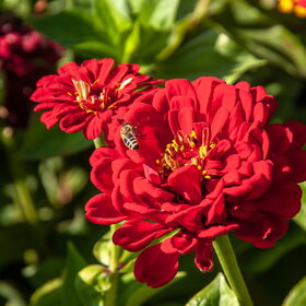 �������