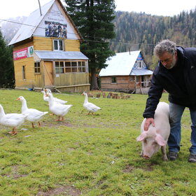 �������� ��������