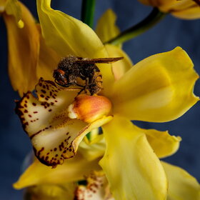 �������