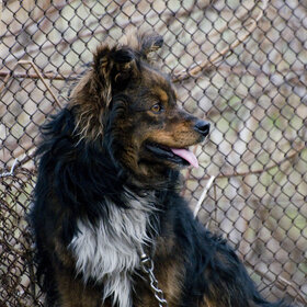 �������� ��������