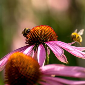 �������