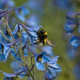 �������