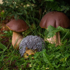 �������