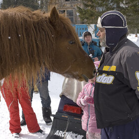 �������� ��������