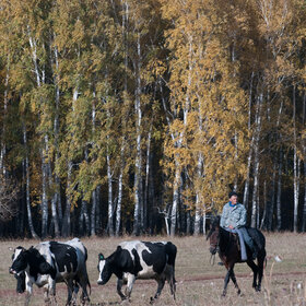 �������� ��������