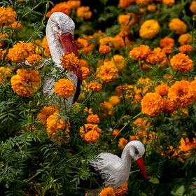 �������