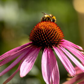 �������