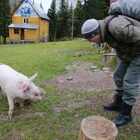 �������� ��������