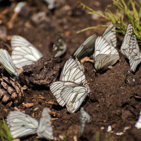 �������