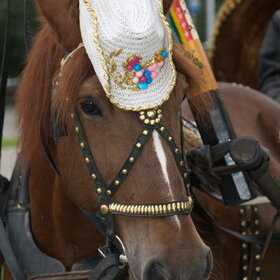 �������� ��������