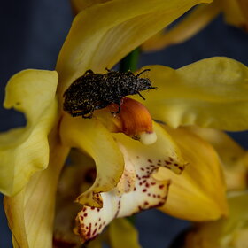 �������