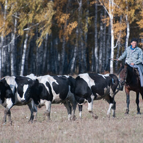 �������� ��������